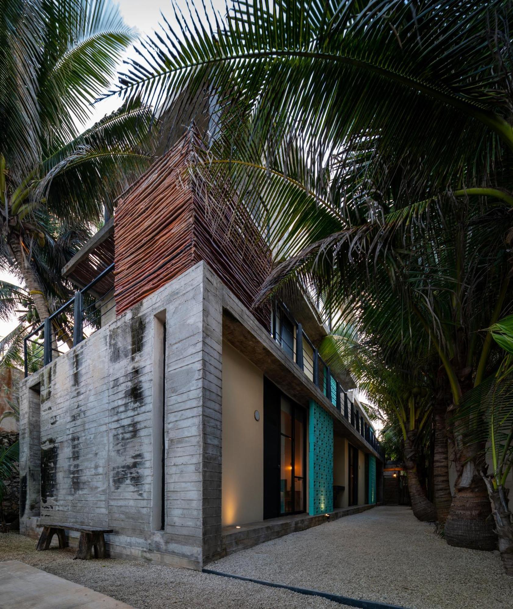 Tropicalito Villa On The Beach 툴룸 외부 사진